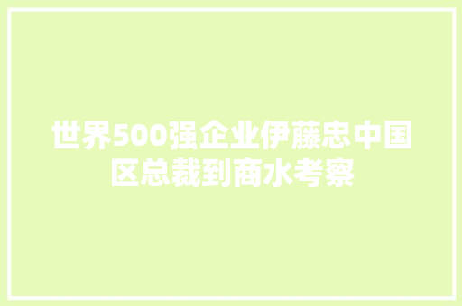 世界500强企业伊藤忠中国区总裁到商水考察