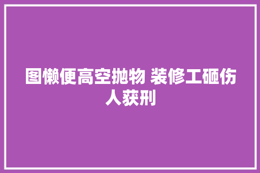 图懒便高空抛物 装修工砸伤人获刑