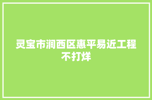 灵宝市涧西区惠平易近工程不打烊