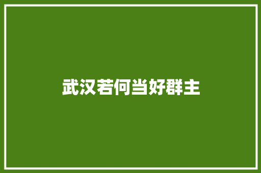 武汉若何当好群主