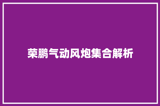 荣鹏气动风炮集合解析