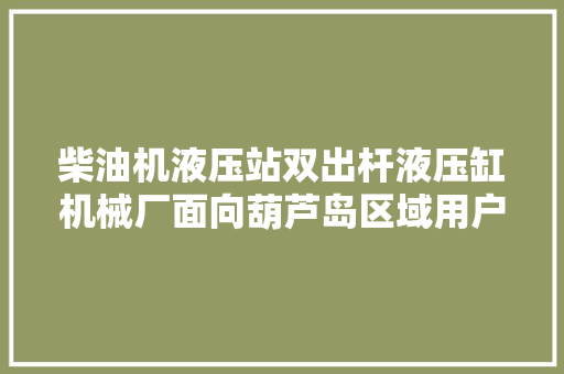 柴油机液压站双出杆液压缸机械厂面向葫芦岛区域用户
