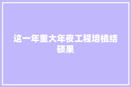这一年重大年夜工程培植结硕果
