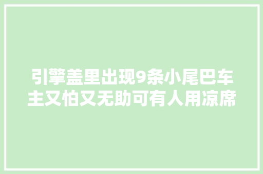 引擎盖里出现9条小尾巴车主又怕又无助可有人用凉席就避免了