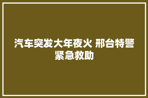 汽车突发大年夜火 邢台特警紧急救助