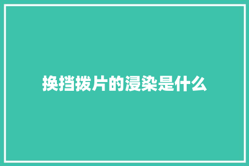 换挡拨片的浸染是什么