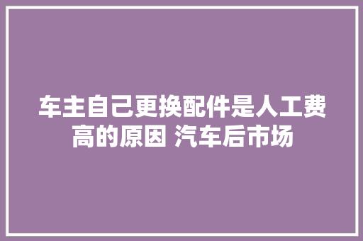 车主自己更换配件是人工费高的原因 汽车后市场