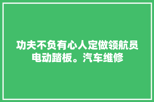 功夫不负有心人定做领航员电动踏板。汽车维修