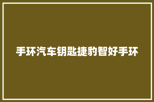 手环汽车钥匙捷豹智好手环