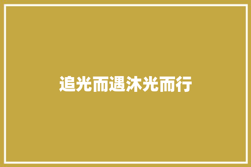 追光而遇沐光而行