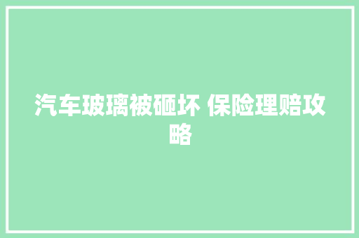 汽车玻璃被砸坏 保险理赔攻略