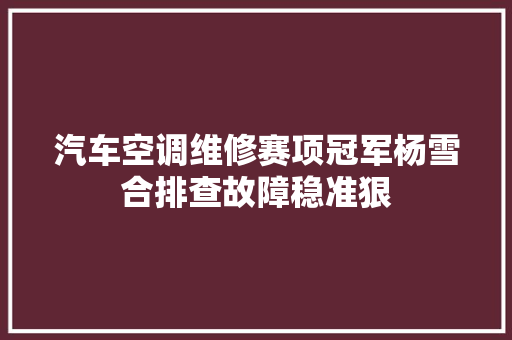 汽车空调维修赛项冠军杨雪合排查故障稳准狠