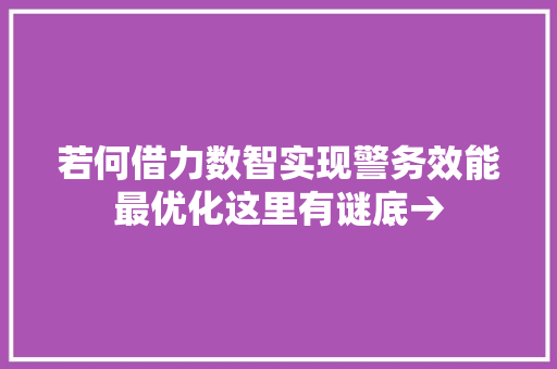 若何借力数智实现警务效能最优化这里有谜底→