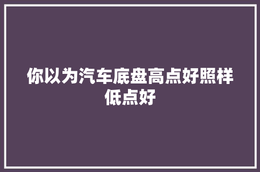 你以为汽车底盘高点好照样低点好
