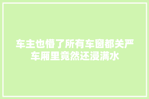 车主也懵了所有车窗都关严车厢里竟然还浸满水