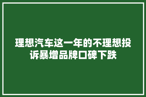 理想汽车这一年的不理想投诉暴增品牌口碑下跌