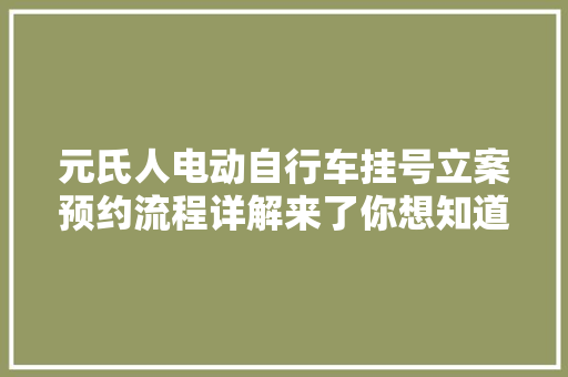 元氏人电动自行车挂号立案预约流程详解来了你想知道的都在这→