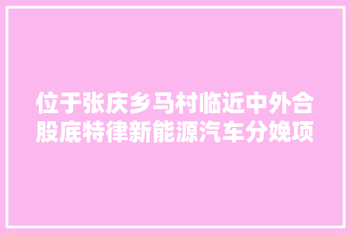 位于张庆乡马村临近中外合股底特律新能源汽车分娩项目开工奠基