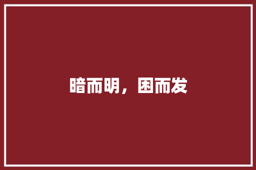 暗而明，困而发
