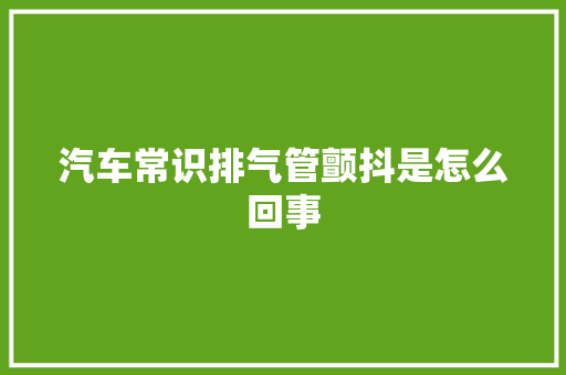 汽车常识排气管颤抖是怎么回事