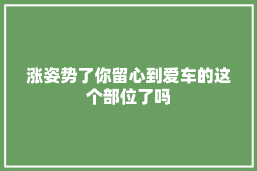 涨姿势了你留心到爱车的这个部位了吗