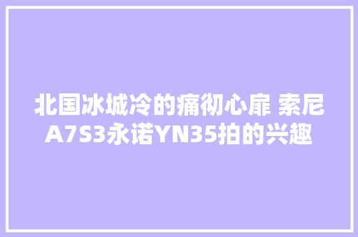 北国冰城冷的痛彻心扉 索尼A7S3永诺YN35拍的兴趣勃勃
