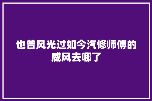 也曾风光过如今汽修师傅的威风去哪了