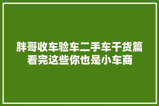 胖哥收车验车二手车干货篇看完这些你也是小车商