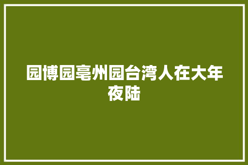 园博园亳州园台湾人在大年夜陆