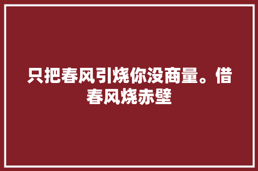只把春风引烧你没商量。借春风烧赤壁