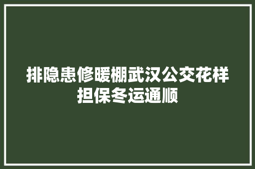 排隐患修暖棚武汉公交花样担保冬运通顺
