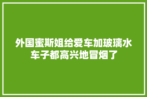 外国蜜斯姐给爱车加玻璃水车子都高兴地冒烟了