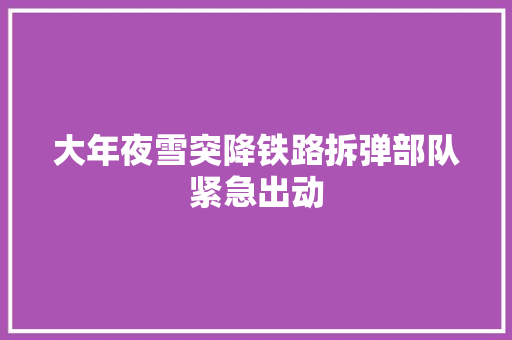 大年夜雪突降铁路拆弹部队紧急出动
