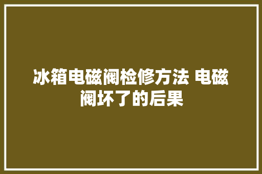 冰箱电磁阀检修方法 电磁阀坏了的后果