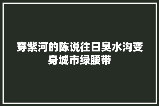 穿紫河的陈说往日臭水沟变身城市绿腰带