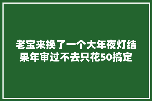 老宝来换了一个大年夜灯结果年审过不去只花50搞定