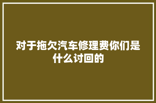 对于拖欠汽车修理费你们是什么讨回的