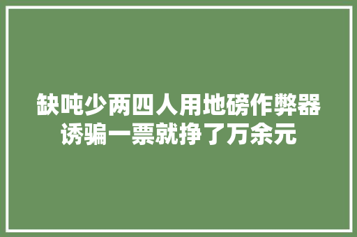 缺吨少两四人用地磅作弊器诱骗一票就挣了万余元