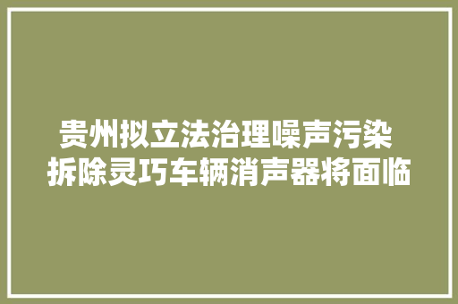 贵州拟立法治理噪声污染 拆除灵巧车辆消声器将面临罚款