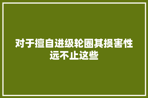 对于擅自进级轮圈其损害性远不止这些