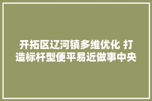 开拓区辽河镇多维优化 打造标杆型便平易近做事中央