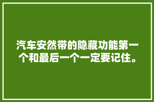 汽车安然带的隐藏功能第一个和最后一个一定要记住。