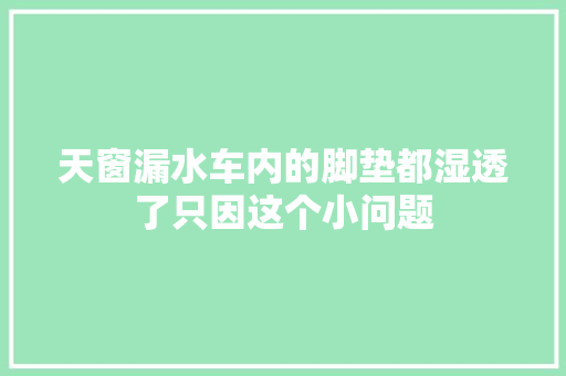 天窗漏水车内的脚垫都湿透了只因这个小问题