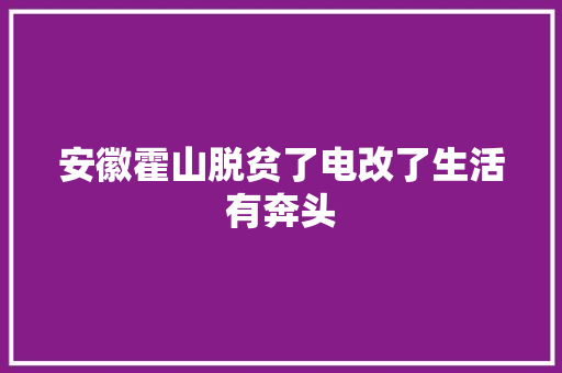 安徽霍山脱贫了电改了生活有奔头