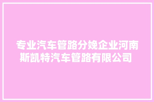专业汽车管路分娩企业河南斯凯特汽车管路有限公司 走进春风柳汽