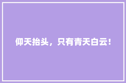 仰天抬头，只有青天白云！