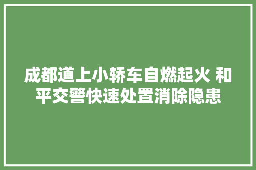 成都道上小轿车自燃起火 和平交警快速处置消除隐患