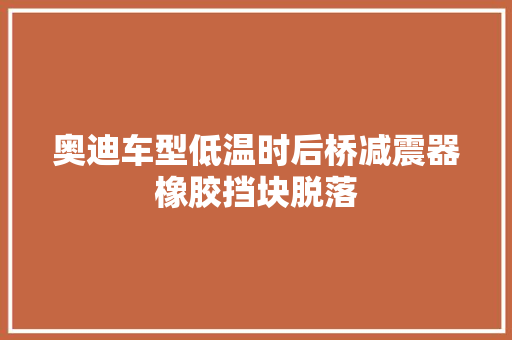 奥迪车型低温时后桥减震器橡胶挡块脱落