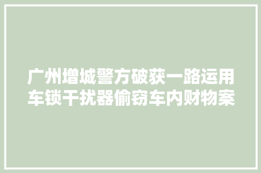 广州增城警方破获一路运用车锁干扰器偷窃车内财物案件