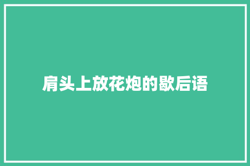 肩头上放花炮的歇后语